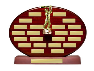 S24-8502 : Timber Buildup Cricket