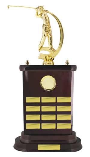 S24-8506DK : Timber Buildup Perpetual