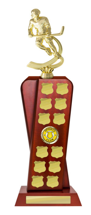 S24-8507 : Timber Buildup Ice Hockey